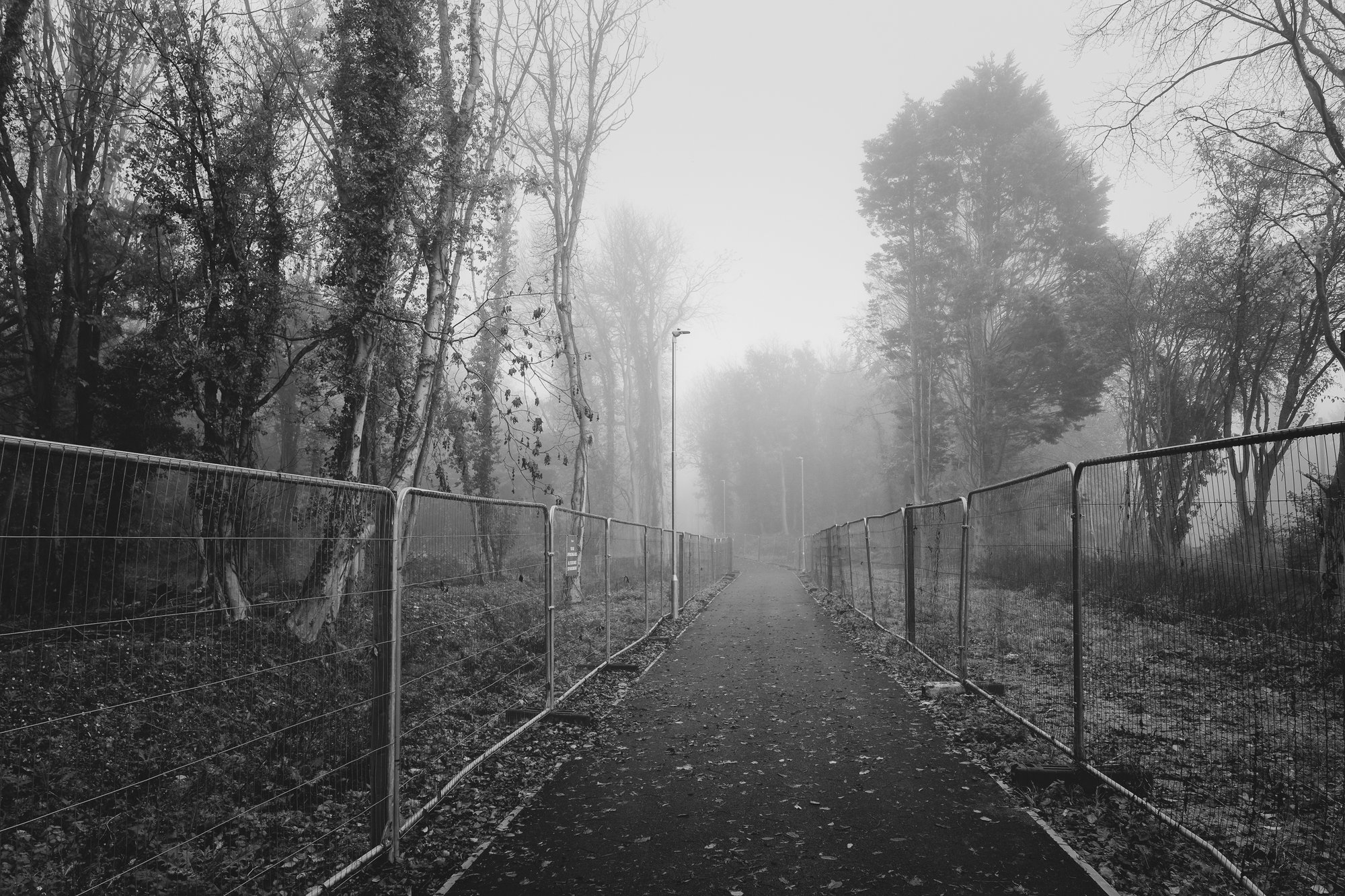Hidden 07